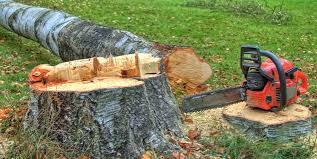 How Our Tree Care Process Works  in  Okawville, IL