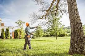 Seasonal Cleanup (Spring/Fall) in Okawville, IL