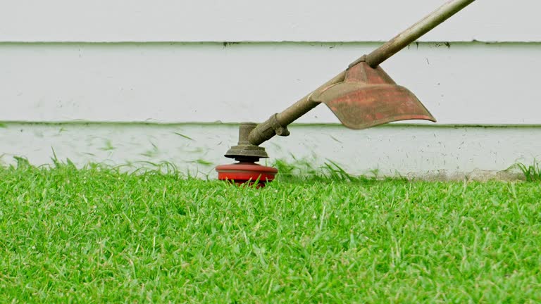 Lawn Grading and Leveling in Okawville, IL